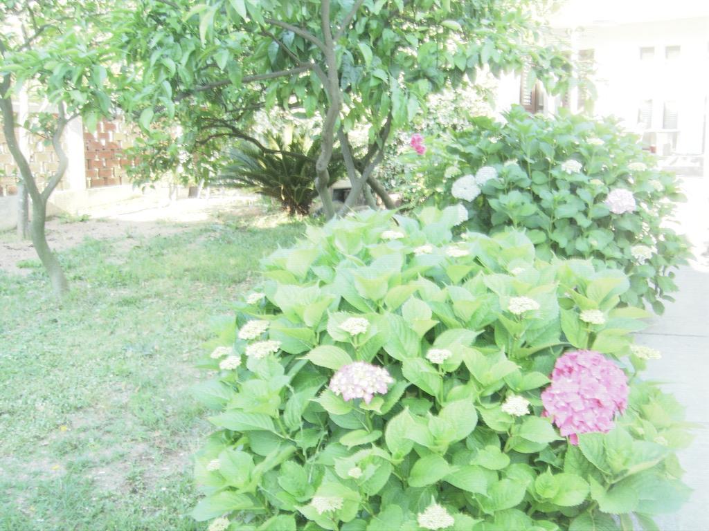 Apartments Budva Center 2 Екстериор снимка